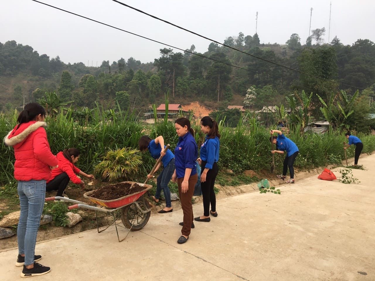 tổng vs công truòng